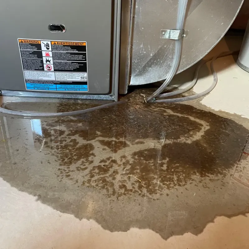 Appliance Leak Cleanup in Lemhi County, ID